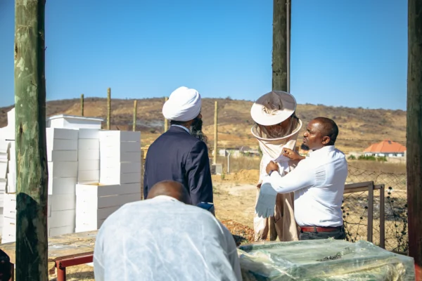 Beekeeping training with protective equipment