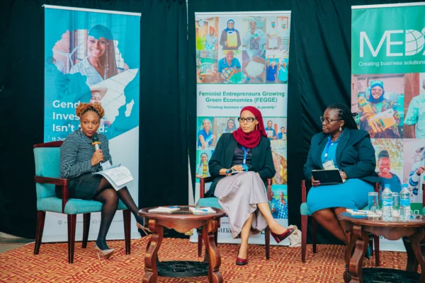 Panel of speakers seated on stage during a development sector conference