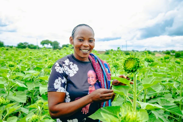 Farmer standing among sunflowers