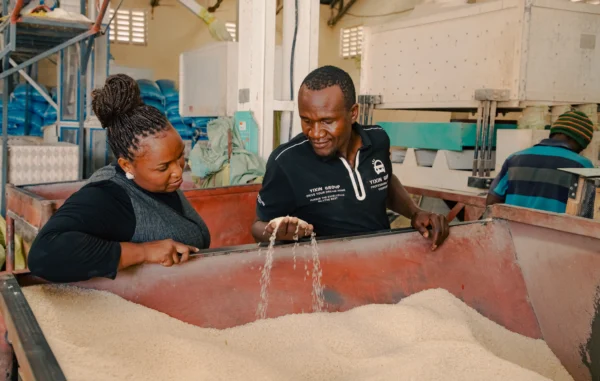 Checking grain quality at a processing line